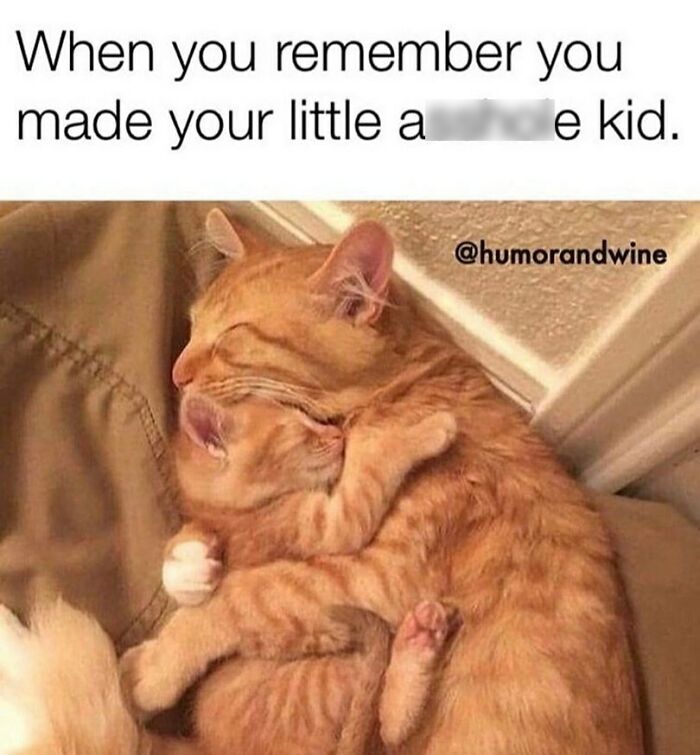 Two orange cats cuddling with a humorous caption, highlighting funny parenting memes that are painfully relatable.