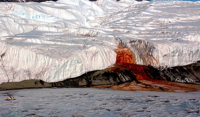 Red waterfall flowing down icy glacier, showcasing rare natural phenomena in a stunning polar landscape.