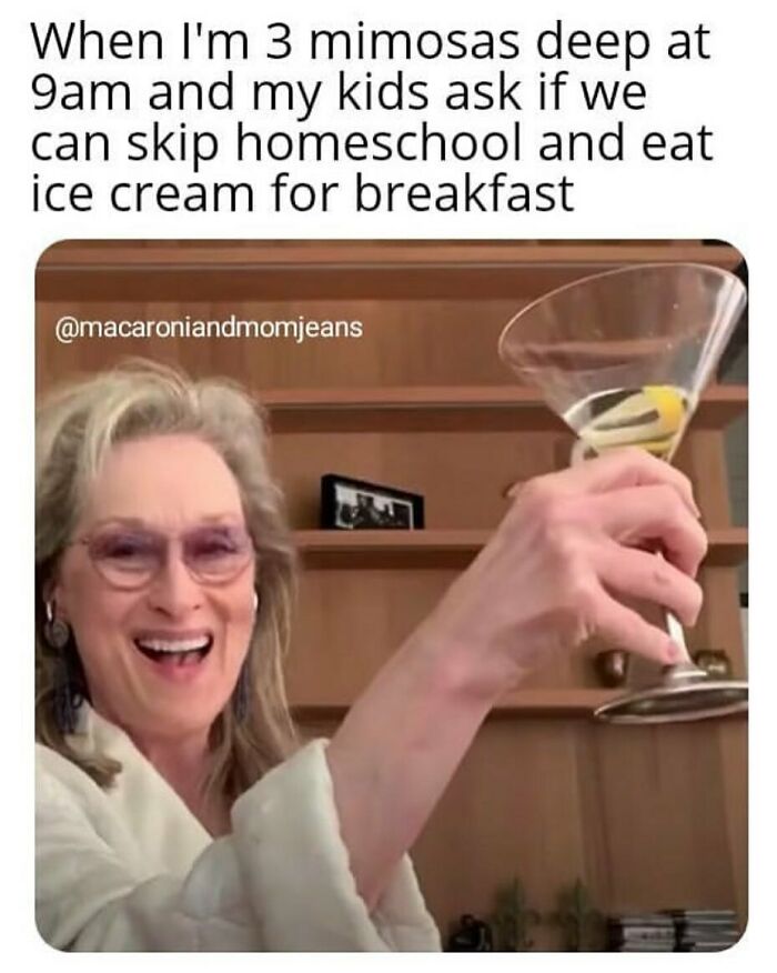 Woman smiling and raising a martini glass with funny parenting memes about relatable homeschooling moments.