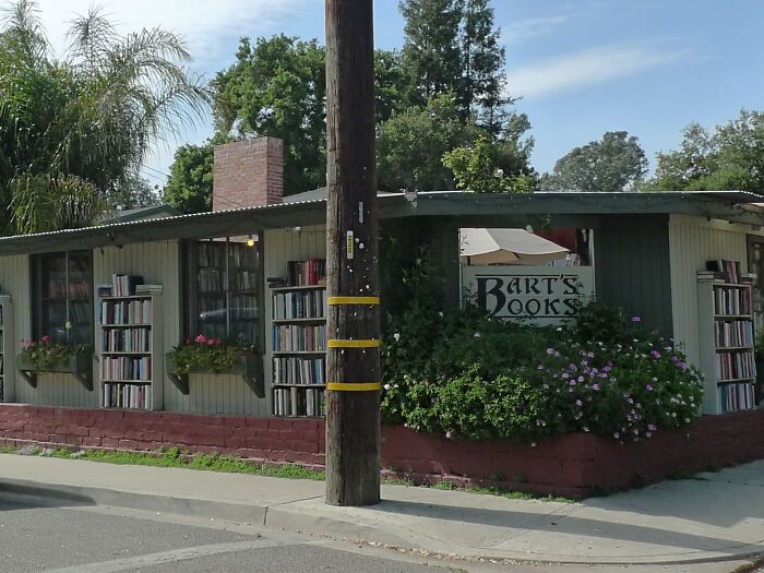 Cozy and grandiose bookstore with outdoor book shelves and lush greenery under a clear blue sky.