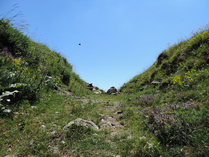Grassy path between hills under clear blue sky, illustrating a setting for bizarre historical events exploration.