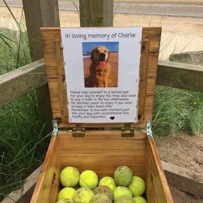 Memorial box filled with tennis balls for dogs, honoring Charlie with a message about unconditional love and loyalty.