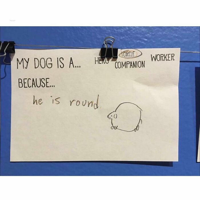 Paper note with a child's handwriting describing their dog as a circle because he is round, with a simple round dog drawing.