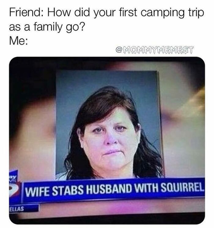 Mugshot of woman in a funny parenting meme about a chaotic first family camping trip from a relatable IG account.