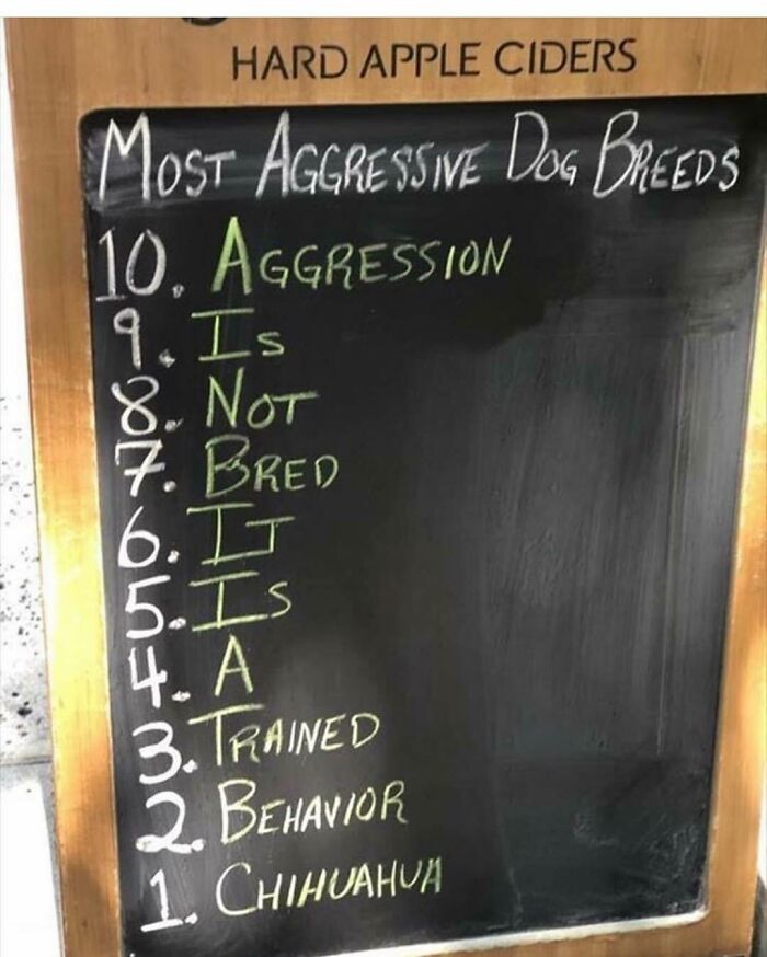 Chalkboard listing most aggressive dog breeds humorously spelling out aggression is not bred, promoting funny dog memes keyword.