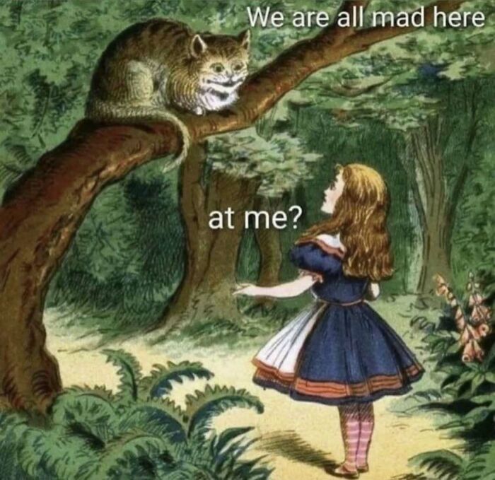 Relatable memes featuring a girl talking to a Cheshire cat in a forest, illustrating the theme of madness and humor.