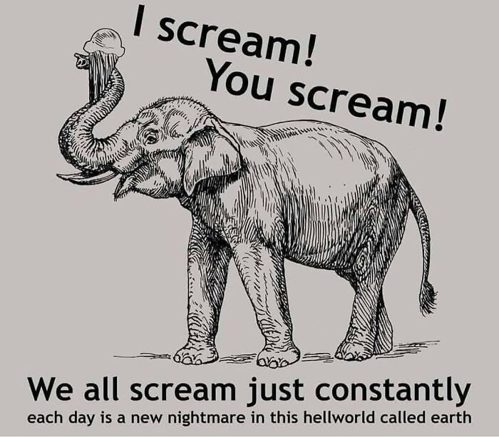 Sketch of an elephant holding an ice cream cone with text about screaming, fitting relatable memes theme.
