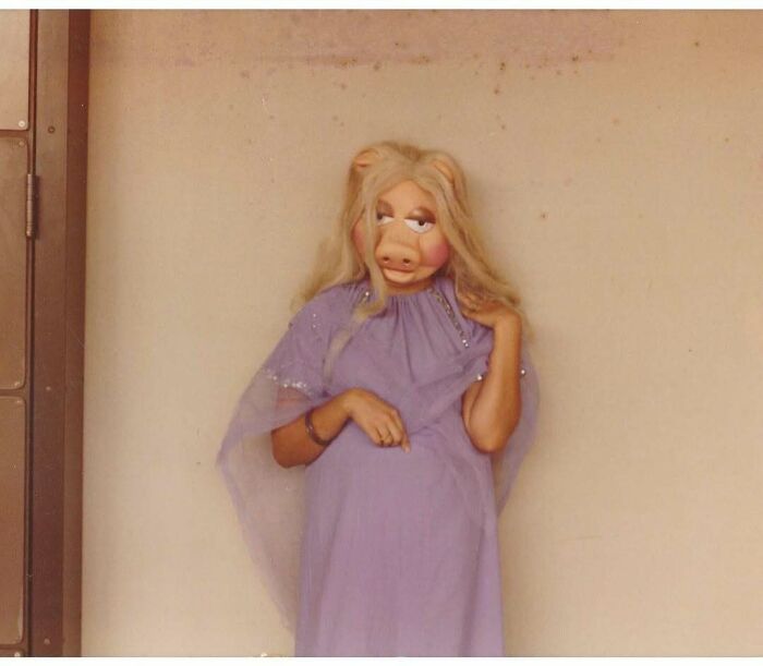 Person wearing purple vintage dress and a Miss Piggy mask posing against a plain beige wall in vintage photo style.