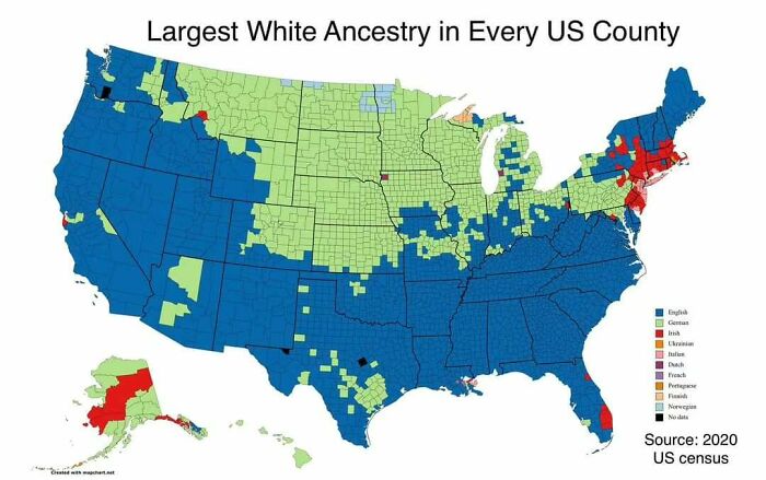Map showing largest white ancestry in US counties by German, Irish, English, and other groups from 2020 census for curious maps knowledge.