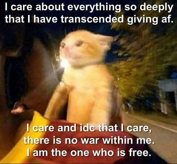 Blurry cat meme with text about caring deeply and feeling free, relatable memes highlighting emotional expression.