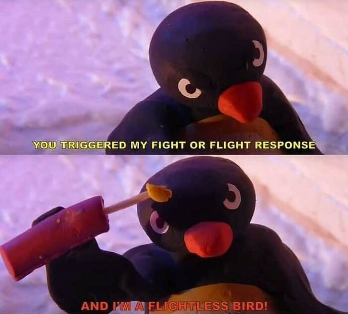 Relatable meme featuring a cartoon penguin expressing fight or flight response with humorous text captions.