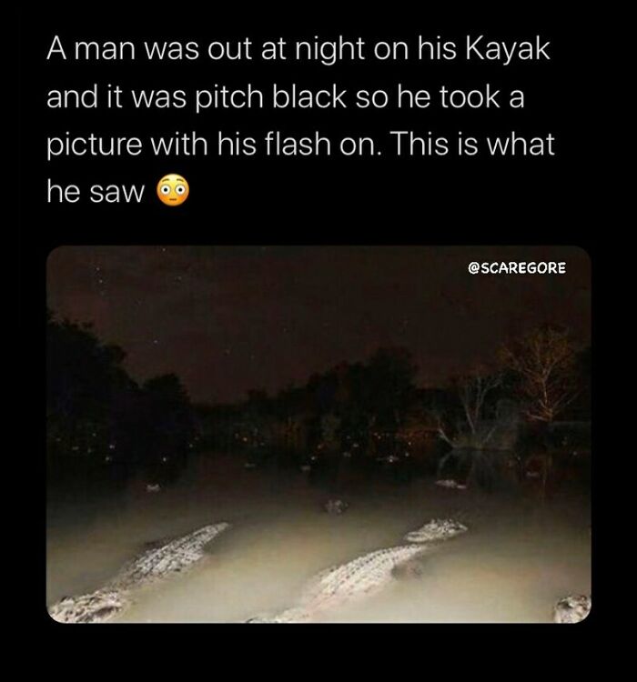 Man kayaking at night takes photo with flash, revealing several large crocodiles in the water, a disturbing event.
