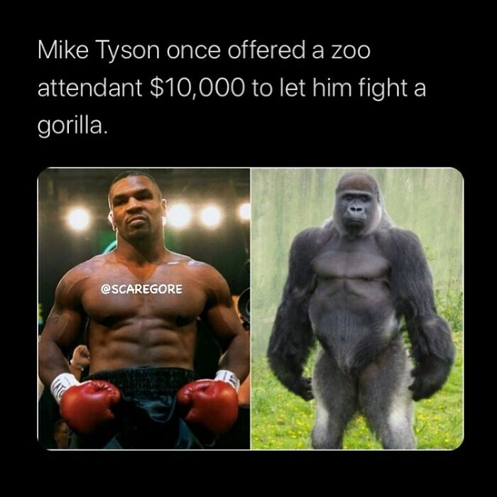 Mike Tyson offering $10,000 to fight a gorilla, illustrating disturbing and unsettling events that actually happened.