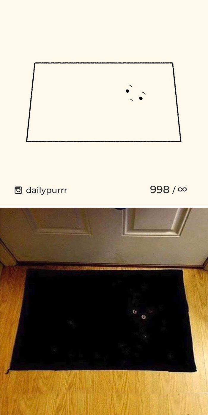 Minimalist cat art and photo showing a black cat blending into a dark rug with only its eyes visible on a wooden floor.
