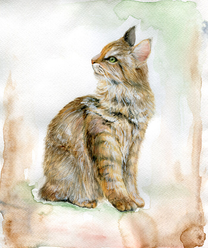 Watercolor painting of a long-haired cat with green eyes, showcasing detailed and expressive cat art.