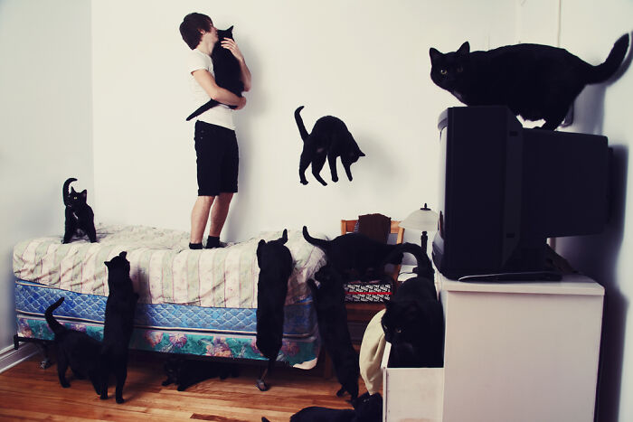A person surrounded by multiple black cats in a room, showcasing creative cat photography for cat lovers.