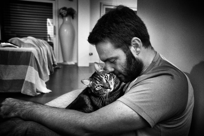 Man gently hugging a tabby cat indoors, showcasing the best of cat photography with a tender moment captured.