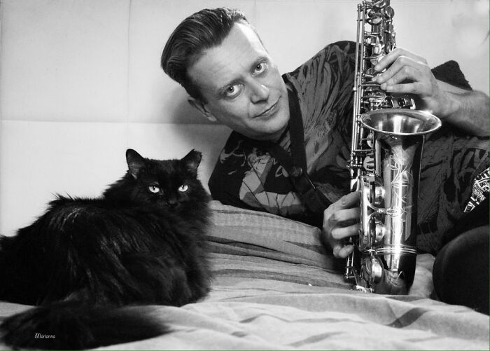 Black fluffy cat lying on a bed next to a man holding a saxophone in a cozy indoor setting, cat photography focus.