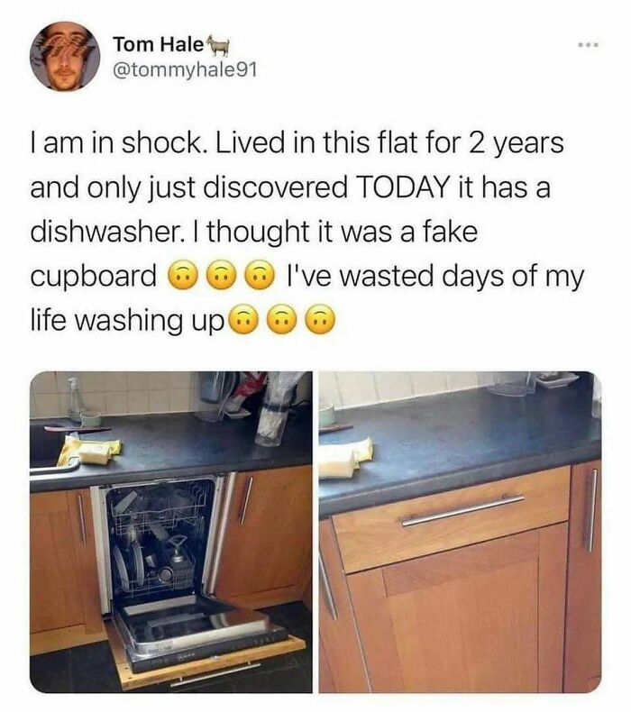 Tweet about discovering a hidden dishwasher after two years, paired with images of the kitchen appliance under the counter, random memes.