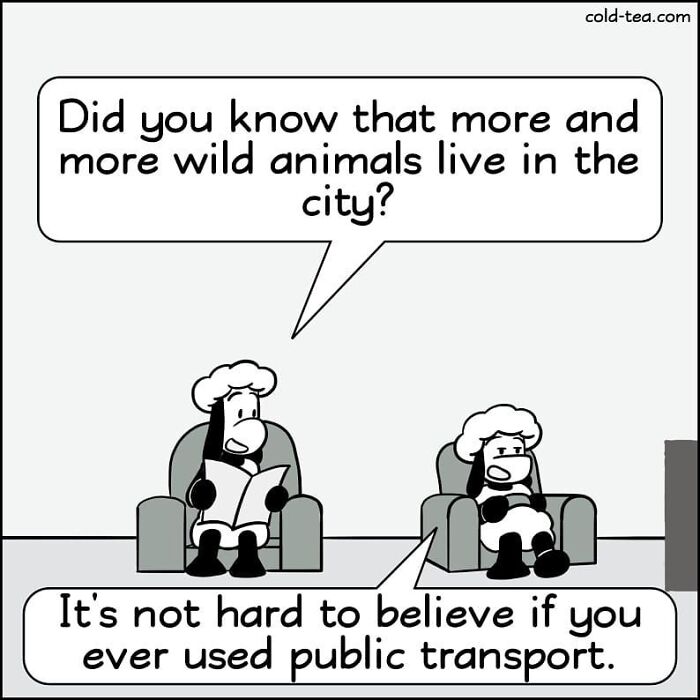 Comic featuring wacky sheep with dry humor discussing wild animals living in the city and public transport.