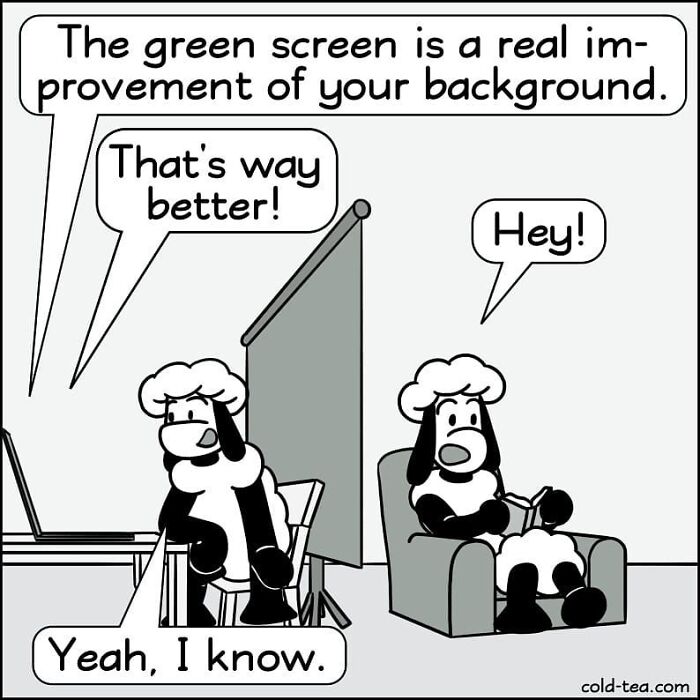 Comic strip featuring wacky sheep with dry humor discussing the use of a green screen background.