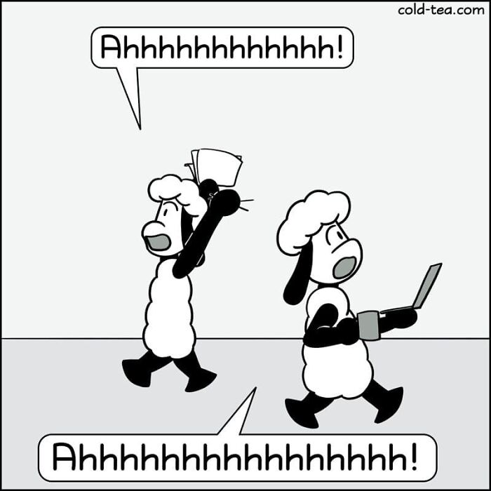 Two wacky sheep with dry humor in a comic by Kowo, one holding a cup, the other using a laptop while shouting.