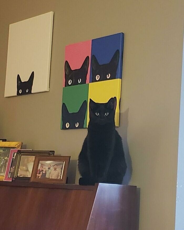 Black cat sitting on a piano next to quirky cat paintings showing black cats with various expressions.