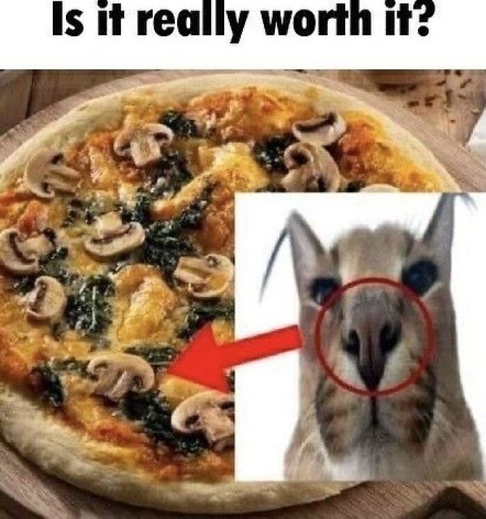 Pizza topped with mushrooms resembling a cat’s quirky nose, highlighting cats being their quirky selves humorously.