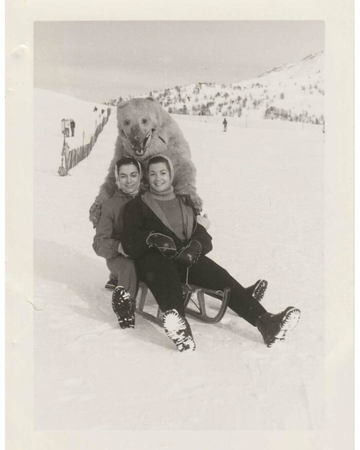 Two women sledding in snow with a bear standing behind them in a vintage photo capturing an interesting moment in history.