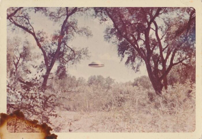 Vintage photo showing a mysterious flying object above a forest, an interesting glimpse into mesmerizing history images.