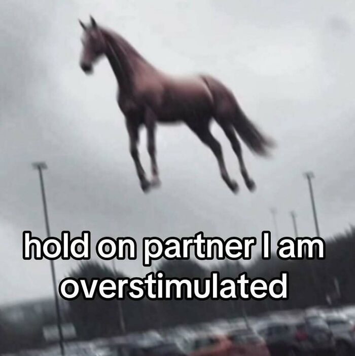 Blurry horse jumping mid-air with text overlay about being overstimulated in relatable memes and humor context.