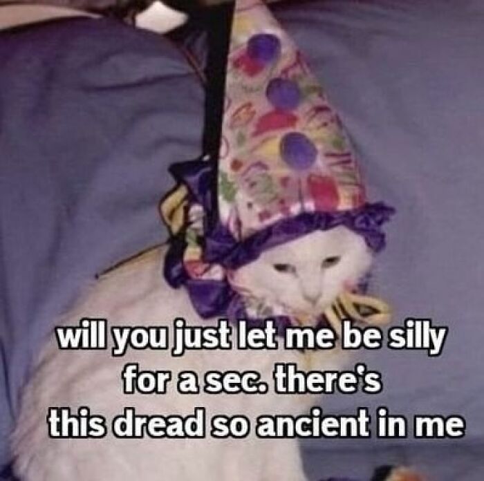 White cat wearing a colorful party hat with a relatable meme about feeling ancient dread and wanting to be silly briefly