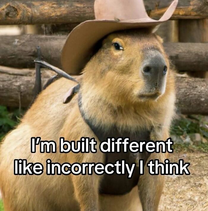 Capybara wearing a cowboy hat with a relatable meme text about being built different, showcasing funny relatable memes.