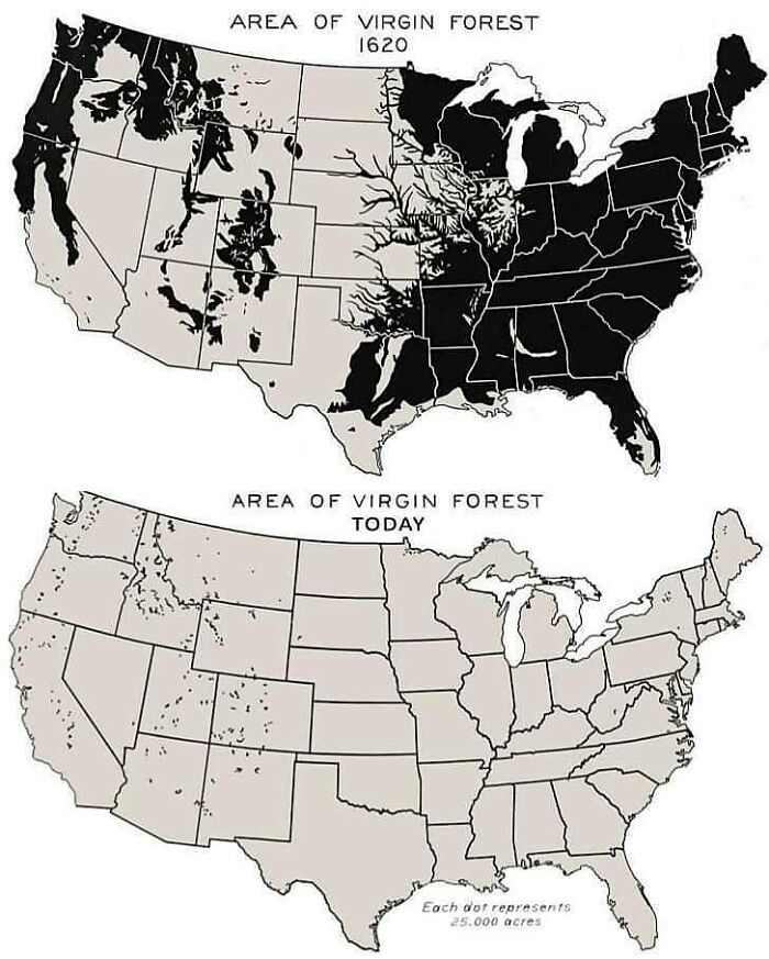 Comparison maps showing the drastic reduction of virgin forest areas in America from 1620 to today.