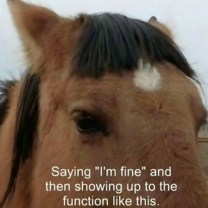 Close-up of a horse with a caption about relatable memes showing up at a function saying I'm fine.