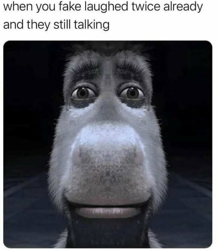 Close-up of animated donkey face with wide eyes and neutral expression, illustrating relatable memes for those who need a chuckle.