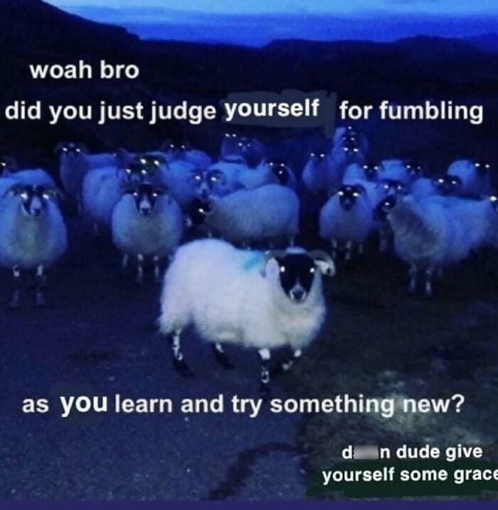 Sheep with glowing eyes at night with relatable meme text about judging yourself while learning something new.
