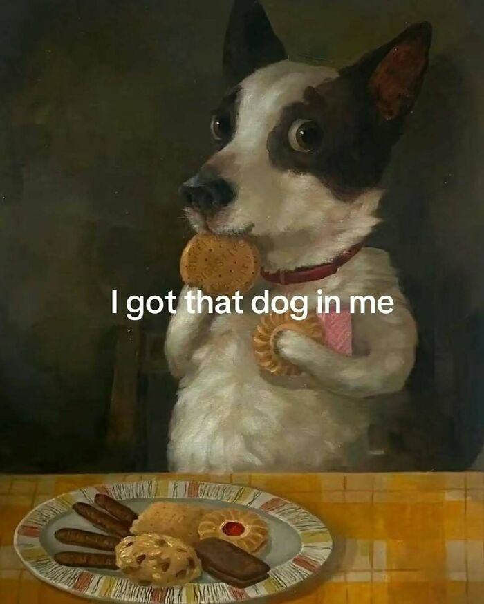 Relatable meme of a dog holding cookies with text I got that dog in me, perfect for meme account content.
