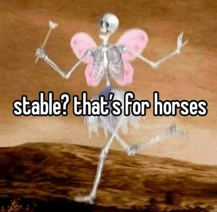Skeleton wearing pink fairy wings and tutu dancing with text about relatable memes on a brown background.