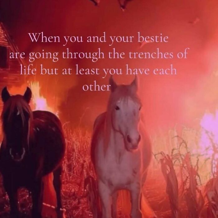 Two horses standing near a fire with relatable memes text about friendship through tough times.