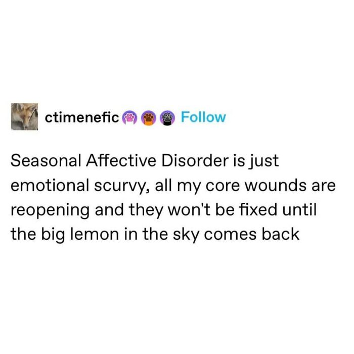 Random meme text humorously comparing Seasonal Affective Disorder to emotional scurvy and waiting for the sun.