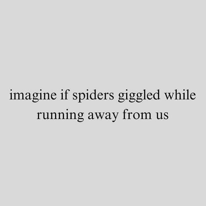 Millennial mind meme on Instagram imagining spiders giggling while running away, reflecting popular humorous content.