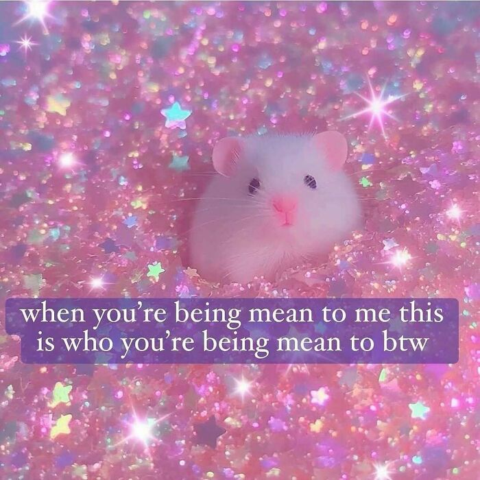 Cute white hamster on sparkly pink background with overlay text showing relatable memes for days about being mean.