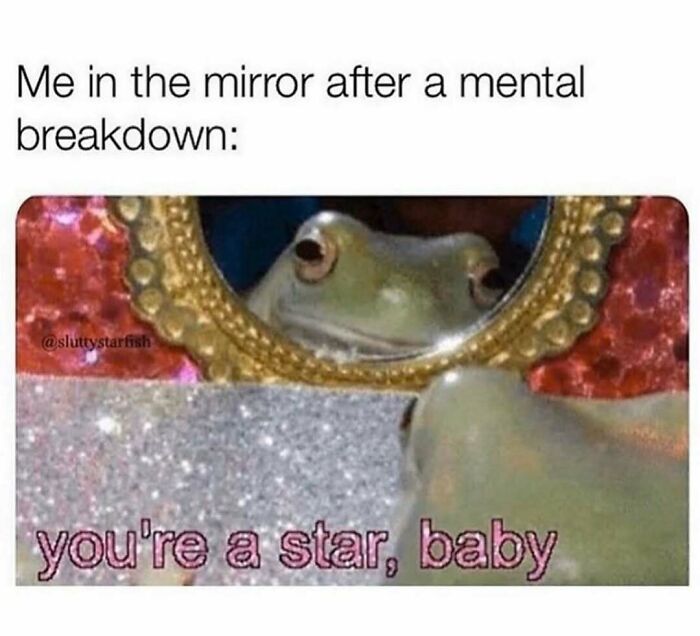 Relatable meme of a frog looking in a mirror with encouraging text for memes for days avoiding responsibilities.