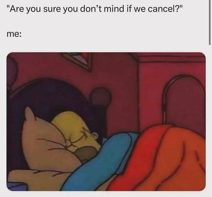 Cartoon character sleeping in bed with caption about canceling plans, illustrating memes for days avoiding responsibilities.