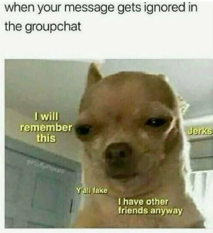 Relatable meme featuring a dog with captions about being ignored in groupchat to avoid responsibilities.