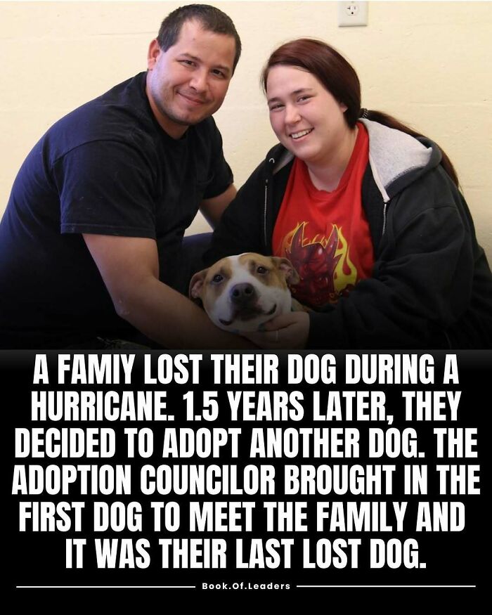 A couple smiling with their dog, illustrating a touching story from 71 stories and facts that might teach you something new.