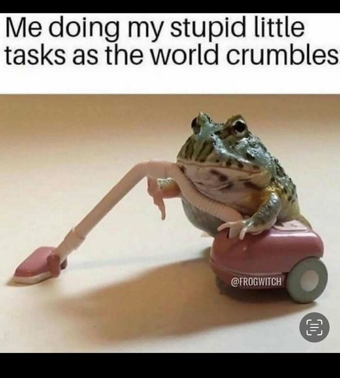 A frog using a tiny vacuum cleaner, humorously illustrating relatable memes about avoiding responsibilities.
