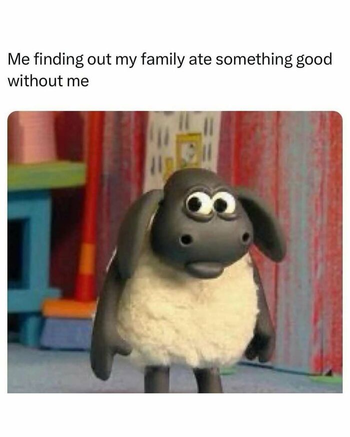 Mutant sheep with a shocked face meme representing Millennial mind humor on a popular Instagram page.