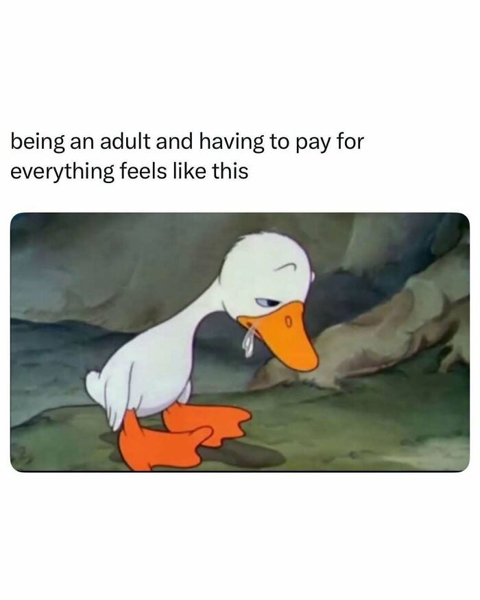 Tired cartoon duck illustrating the millennial mind feeling burdened by adult financial responsibilities meme.
